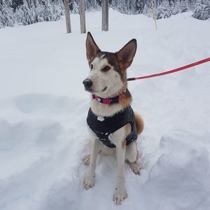 Meet your Posher, Adrienne